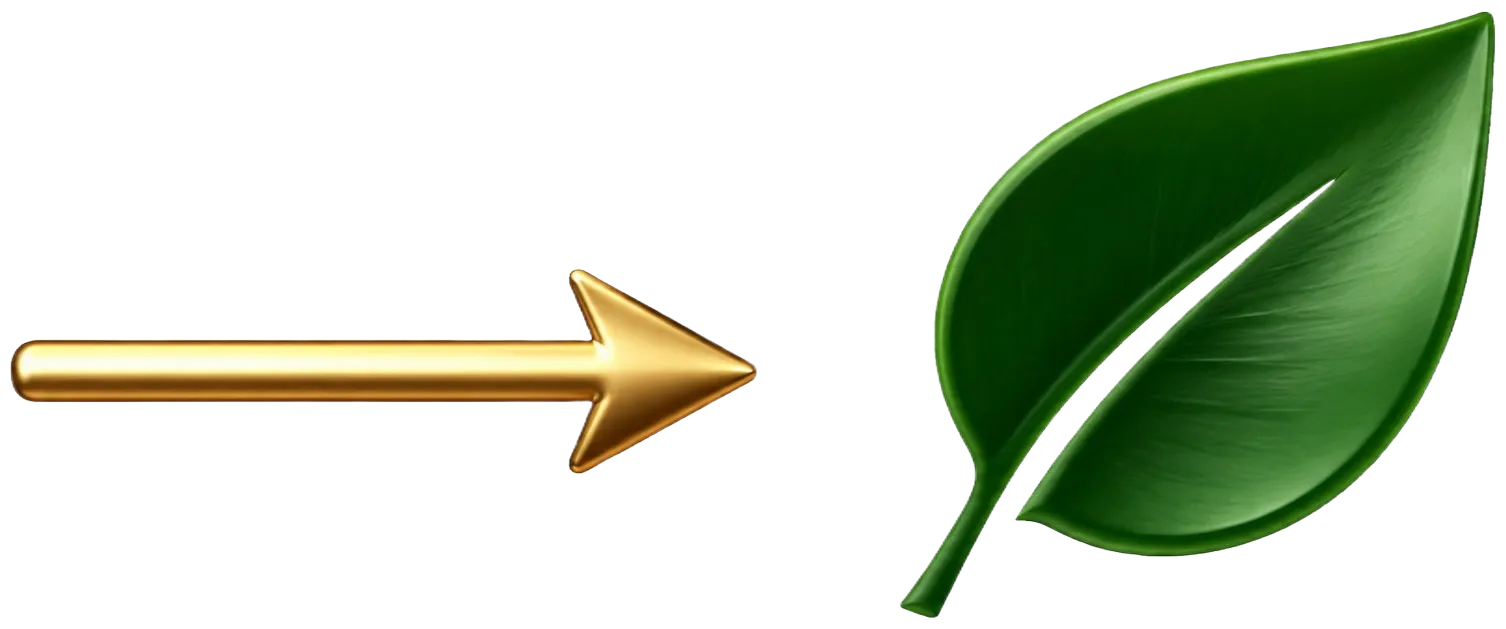arrow image
